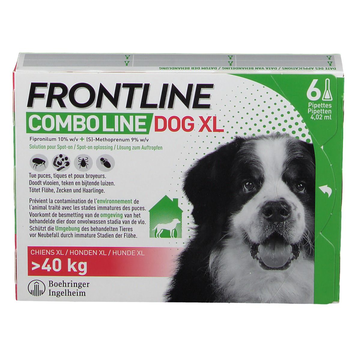 Verpakking FRONTLINE Combo Line Chien XL. Bevat 6 pipetten. Afbeelding van een hond. Tekst: >40 kg.