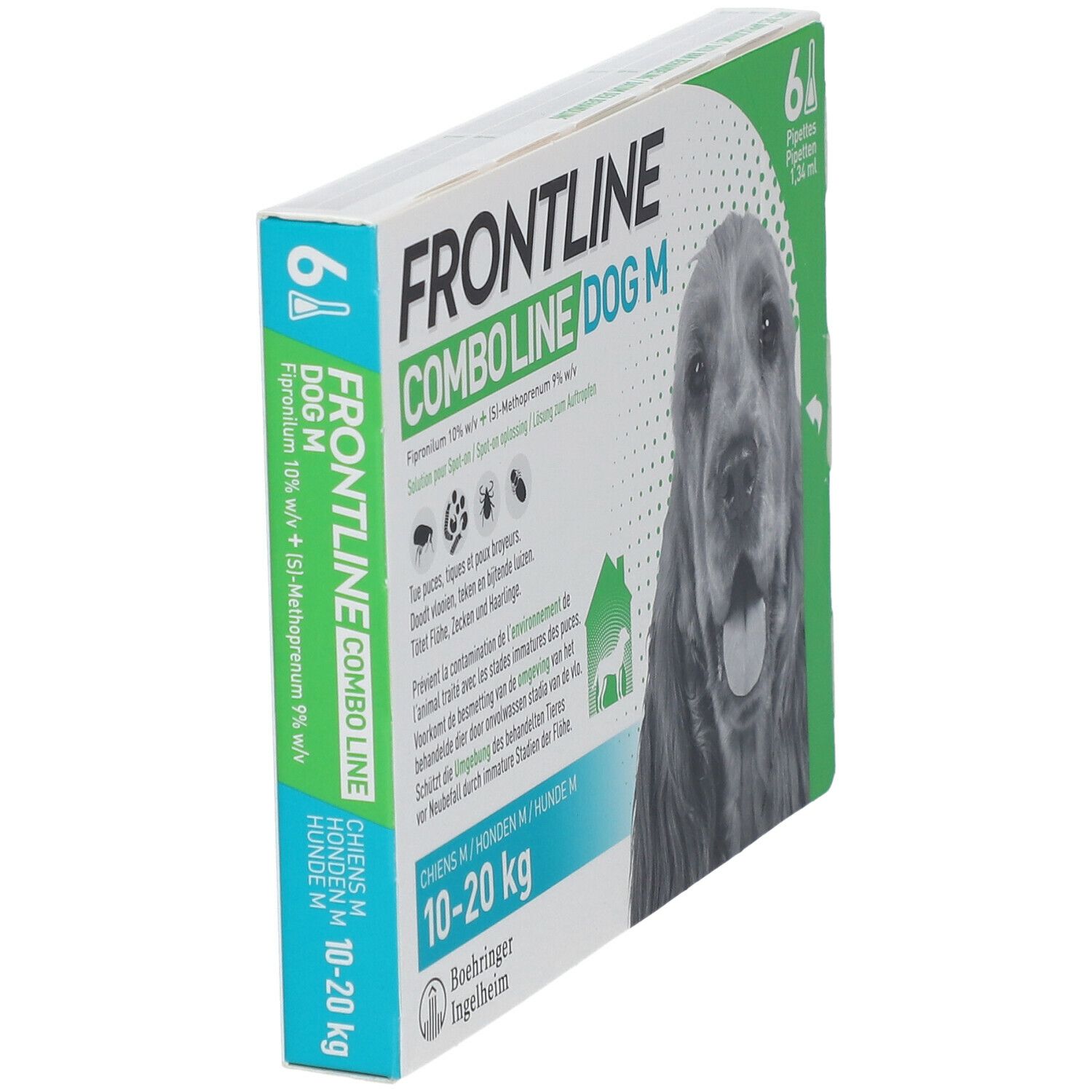 Schuin geplaatste verpakking FRONTLINE Combo Line Chien M 10-20kg. Bevat 6 pipetten. Opschrift: DOG M, 10-20 kg, afbeelding van een hond.