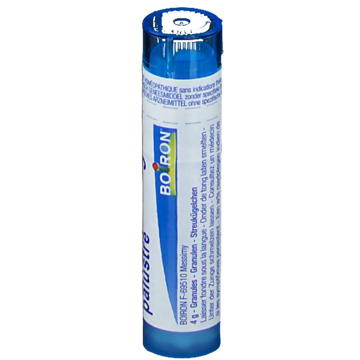 Blauw-witte tube met productinformatie. Opschrift: Ledum palustre, Boiron, 4 g korrels.