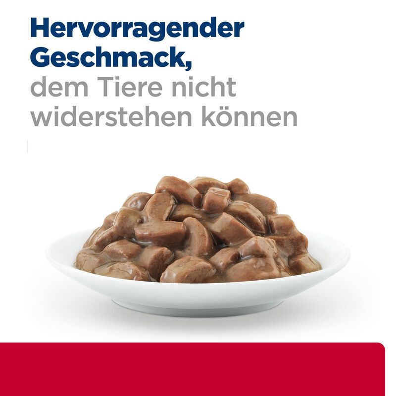 Hill's Prescription Diet c/d Urinary Stress Katzenfutter mit Lachs