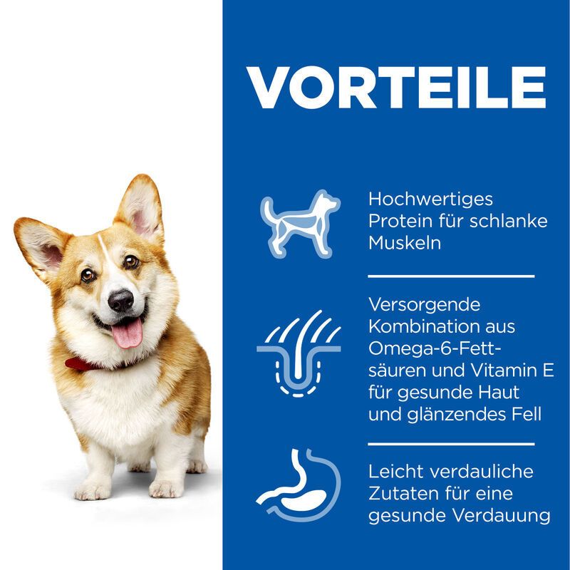 Hund neben Text: Vorteile. Hochwertiges Protein, Omega-6-Fettsäuren, Vitamin E, gesunde Haut, Fell, leicht verdaulich.