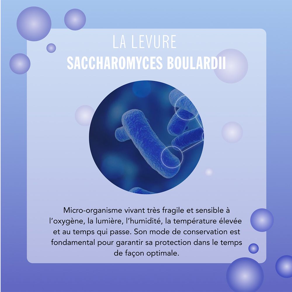 Gros plan sur un micro-organisme. Coloration bleue, représentation scientifique.