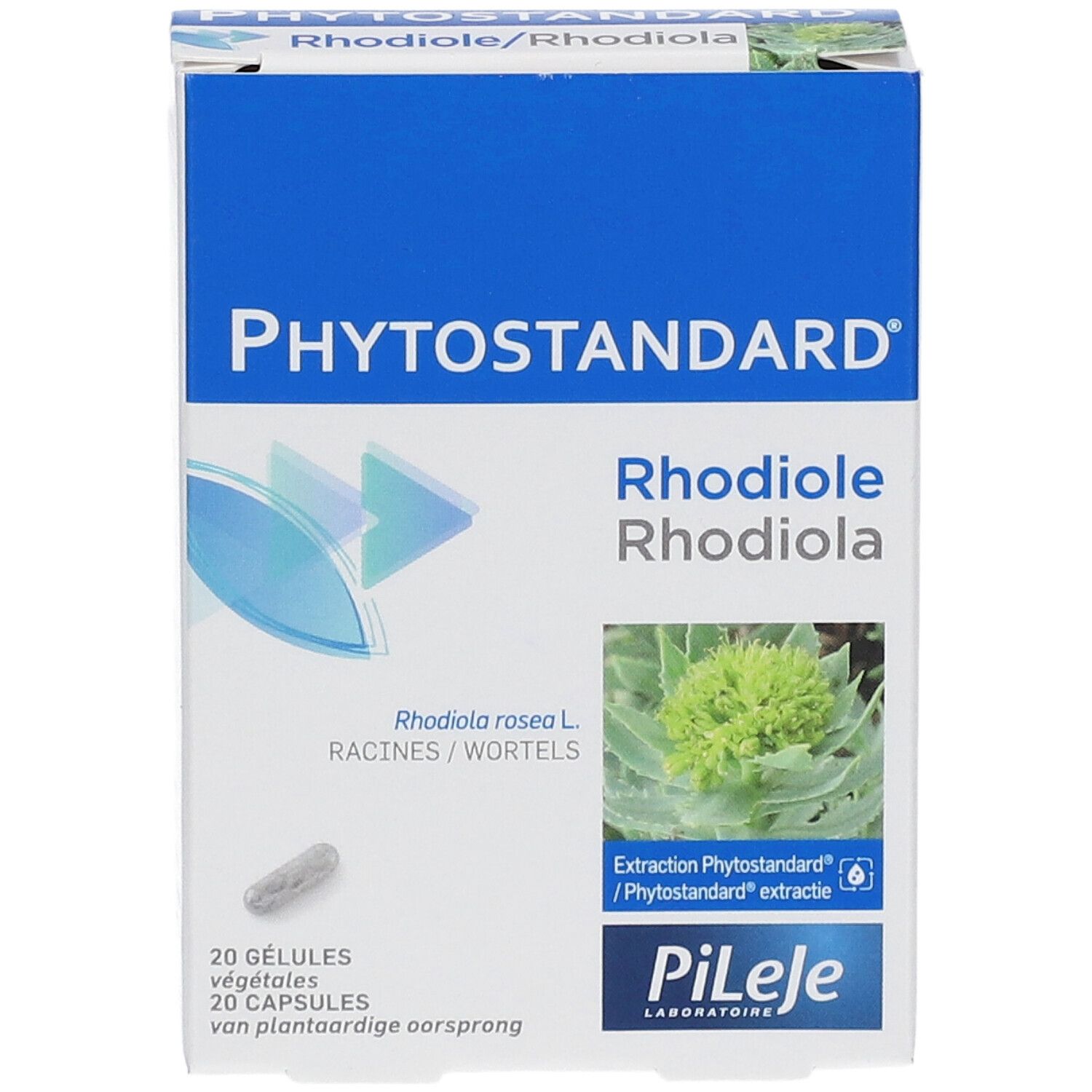 Boîte de Phytostandard Rhodiole. Contient 20 gélules. Inscription: Rhodiole Rhodiole.