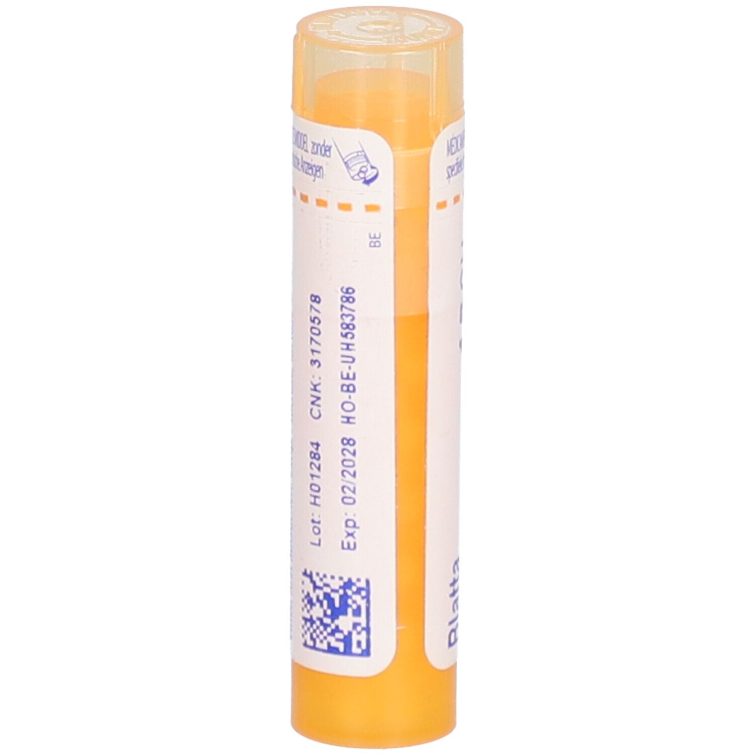 Tube jaune avec étiquette blanche. Texte: CNK, date d'expiration, numéro de lot, QR code. Blatta orientalis.