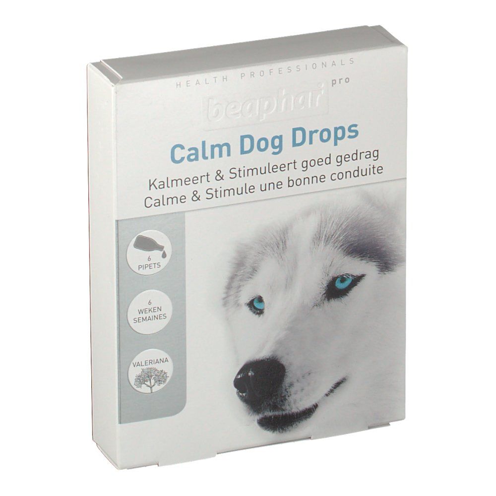 Karton mit Produktaufdruck. Aufschrift: Calm Dog Drops. Abbildung eines Hundes mit blauen Augen. Symbole für Pipetten, Wochen und Baldrian.