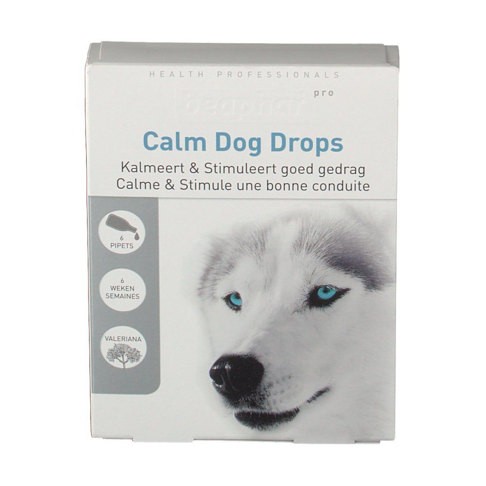 Karton mit Produktaufdruck. Aufschrift: Calm Dog Drops. Abbildung eines Hundes mit blauen Augen. Symbole für Pipetten, Wochen und Baldrian.