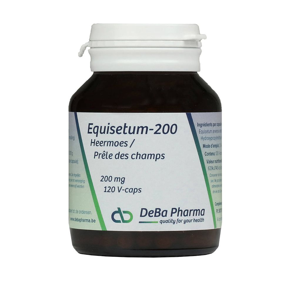 Deba Equisetum-200
