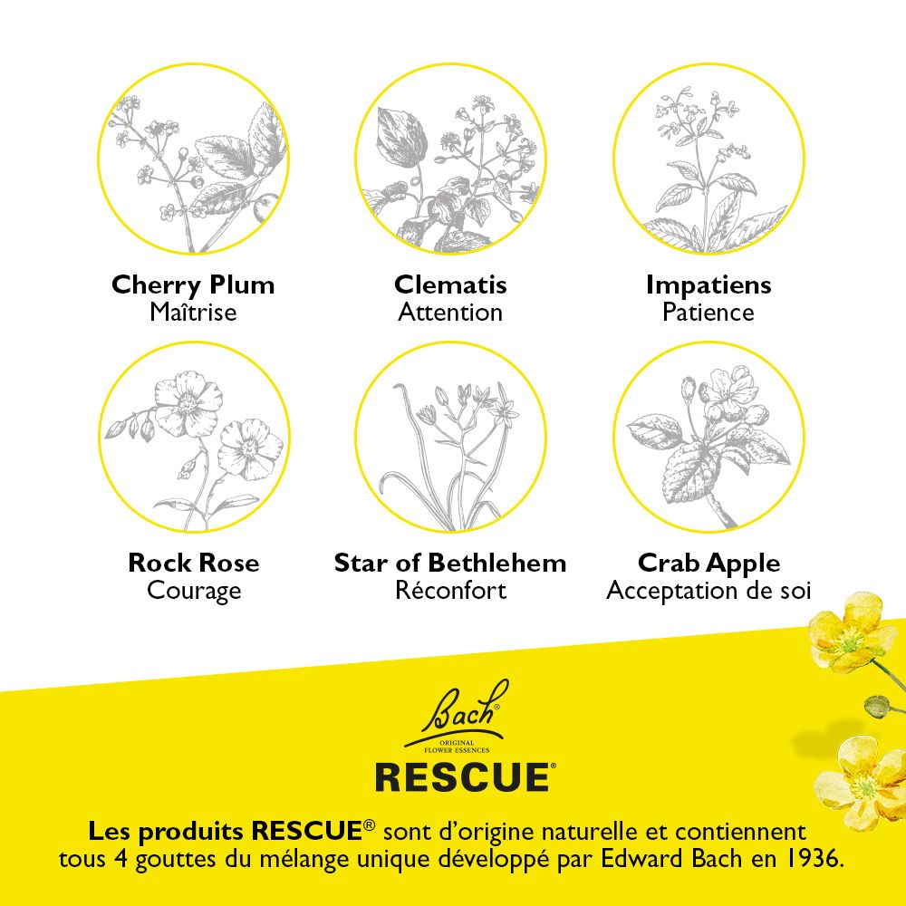 Sechs Blütenzeichnungen: Cherry Plum, Clematis, Impatiens, Rock Rose, Star of Bethlehem, Crab Apple. Bach RESCUE Logo.