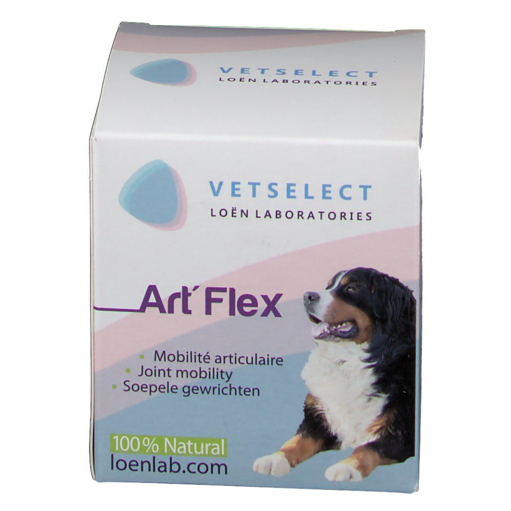 Doos met naam Art' Flex, logo en hond. Tekst: Mobilité articulaire, Joint mobility, Soepele gewrichten. 100% Natural.