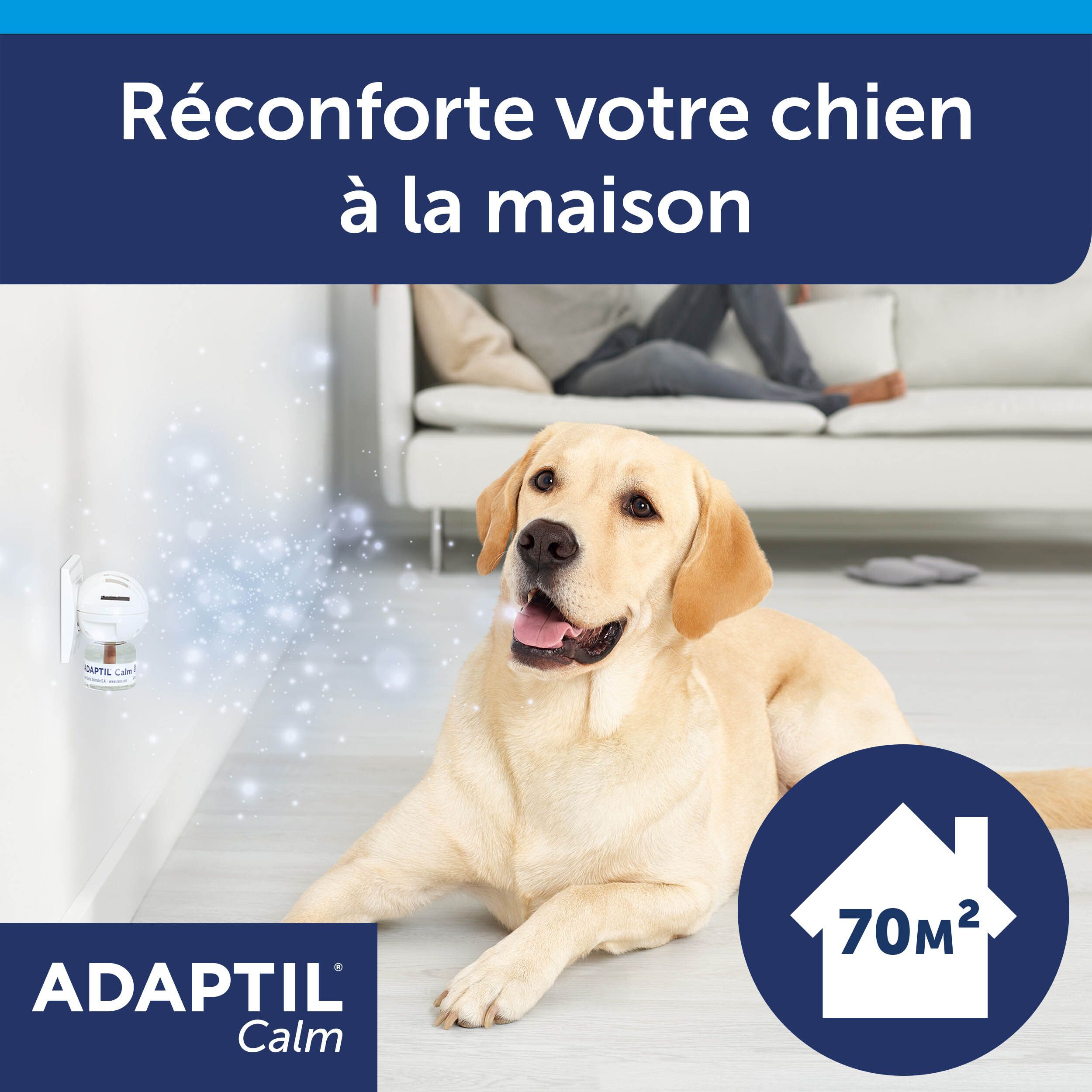 Adaptil Calm, produit en action. Flacon près d'un chien. 70 m².