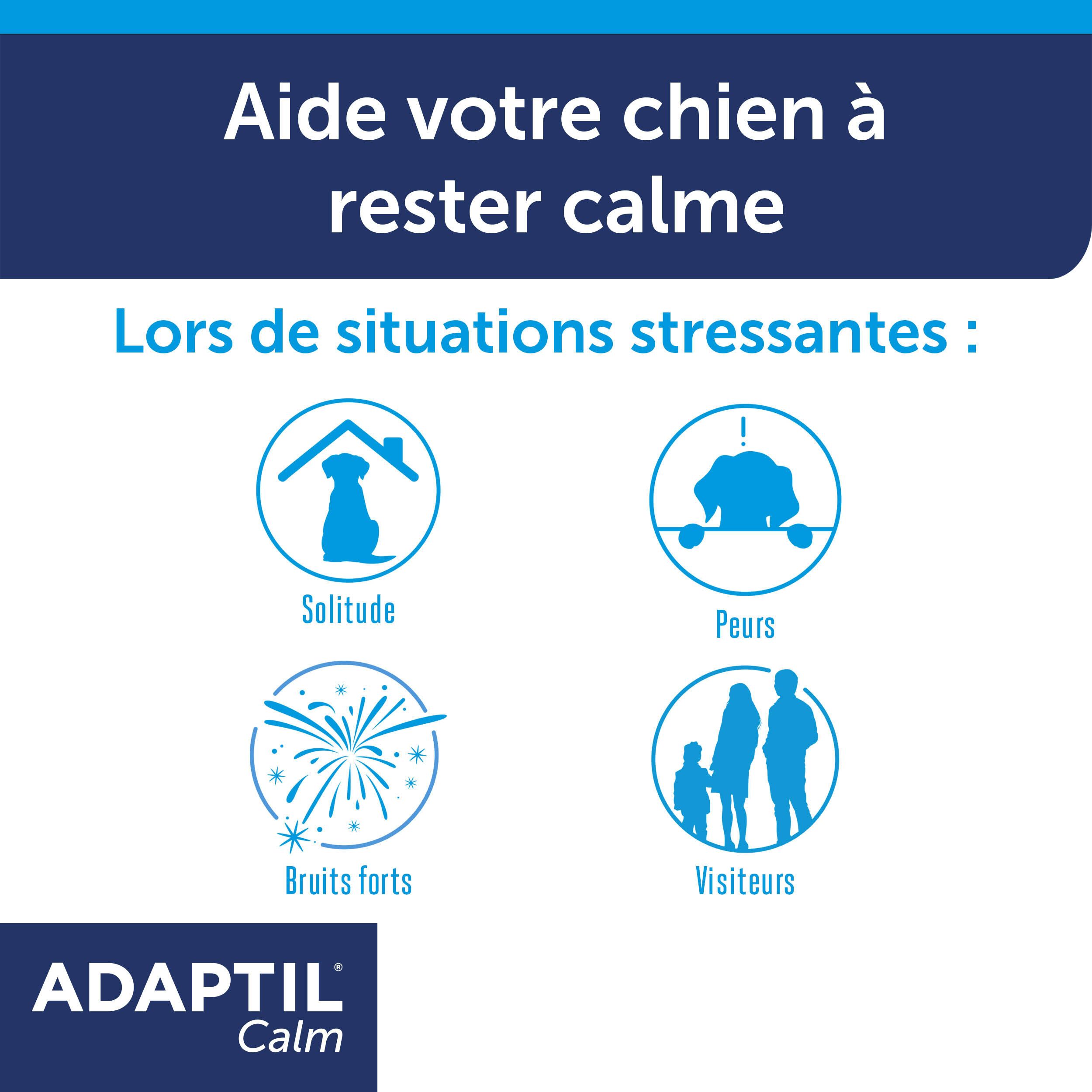 Adaptil Calm, illustrations. Illustrations de situations où le produit aide.