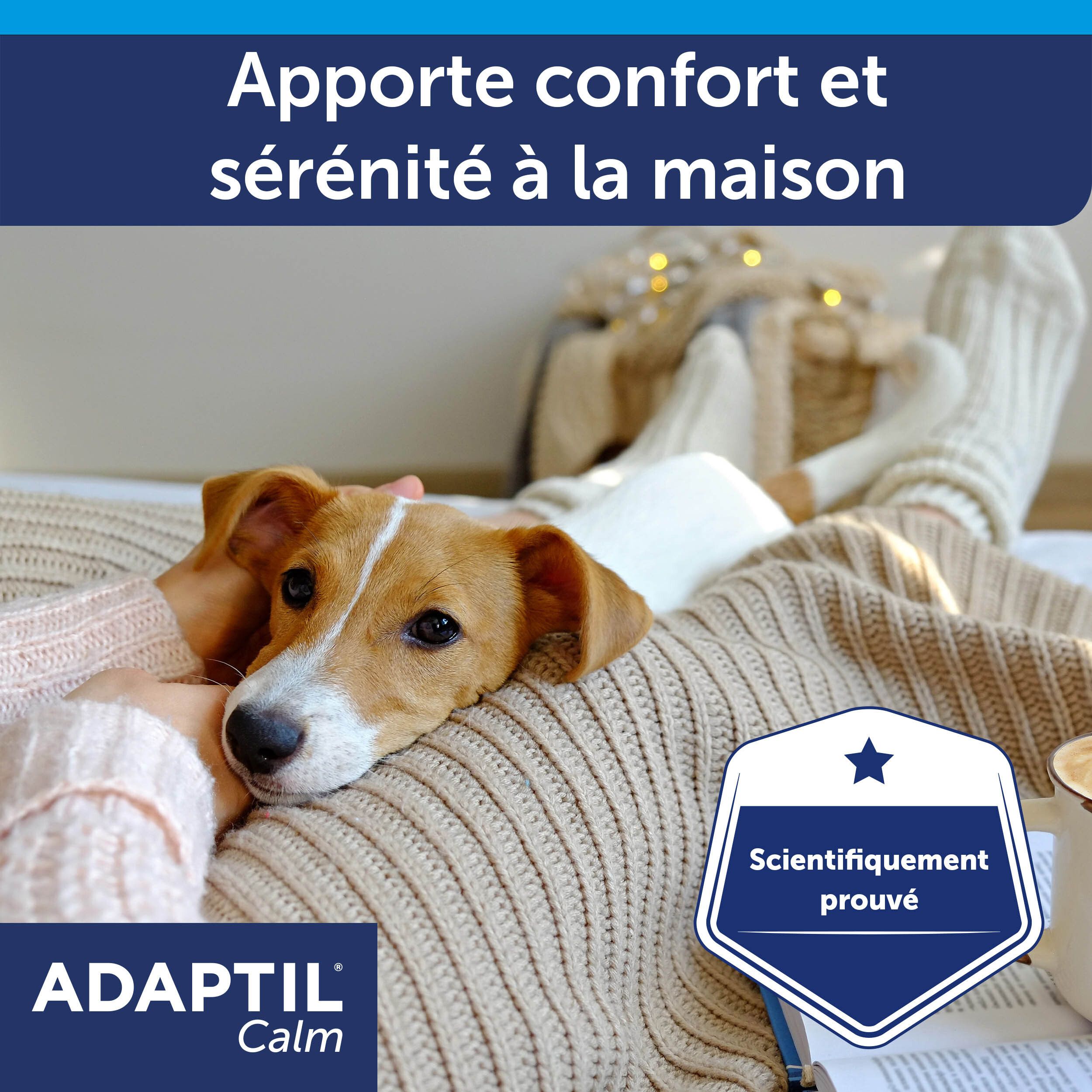 Adaptil Calm, chien sur un canapé. Scientifiquement prouvé. Produit.