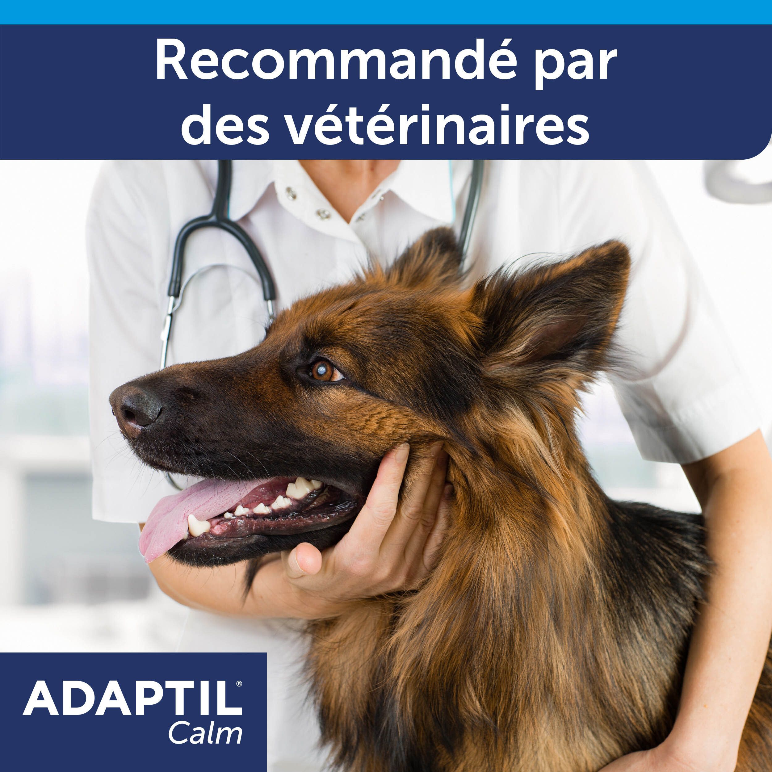 Adaptil Calm, vétérinaire et chien. Le vétérinaire examine le chien. Recommandé par les vétérinaires.