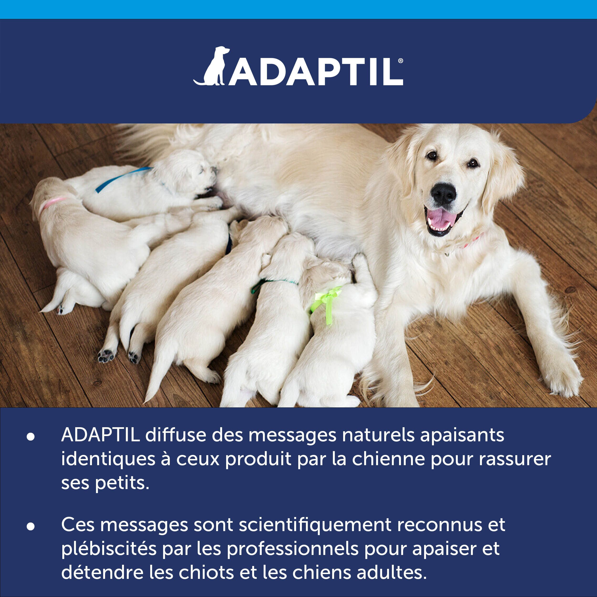 Adaptil Calm, chienne et chiots. La chienne allaite les chiots. Informations sur le produit.