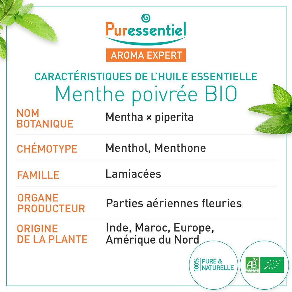 Infografik mit Produktinformationen. Enthält botanischen Namen, Chemotyp, Familie, Herkunft und Produzent.