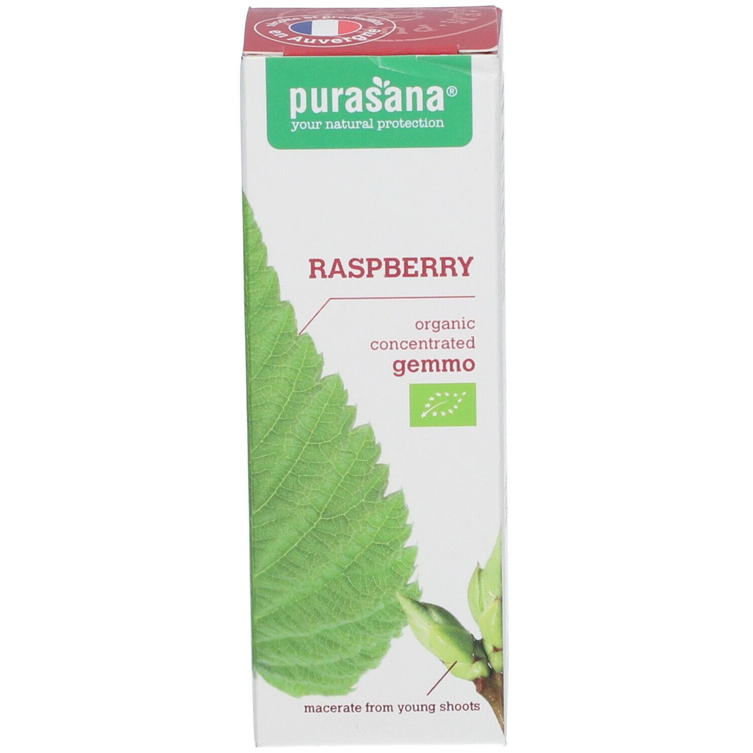 Weiße rechteckige Verpackung mit Produktnamen und Logo. Blatt-Illustration. Bio-Zertifizierung.