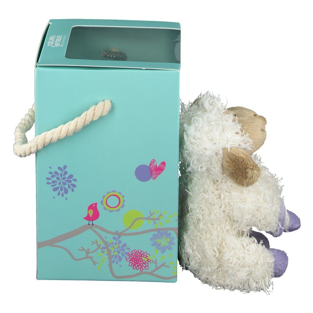 Boîte cadeau turquoise avec mouton en peluche. Emballage avec motifs floraux et poignée. Fenêtre transparente.
