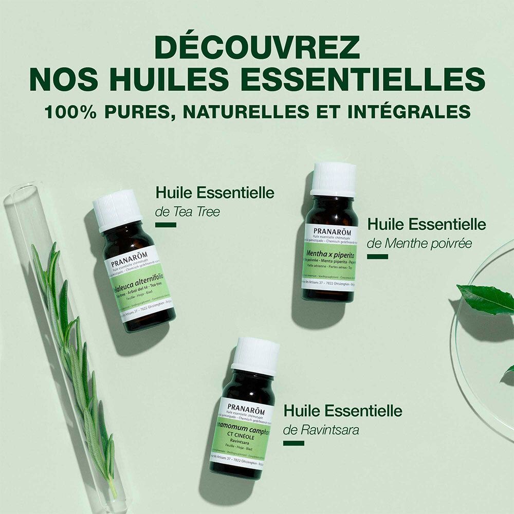 Drei Flaschen ätherischer Öle. Text: Huile Essentielle de Tea Tree, Menthe poivrée, Ravintsara.