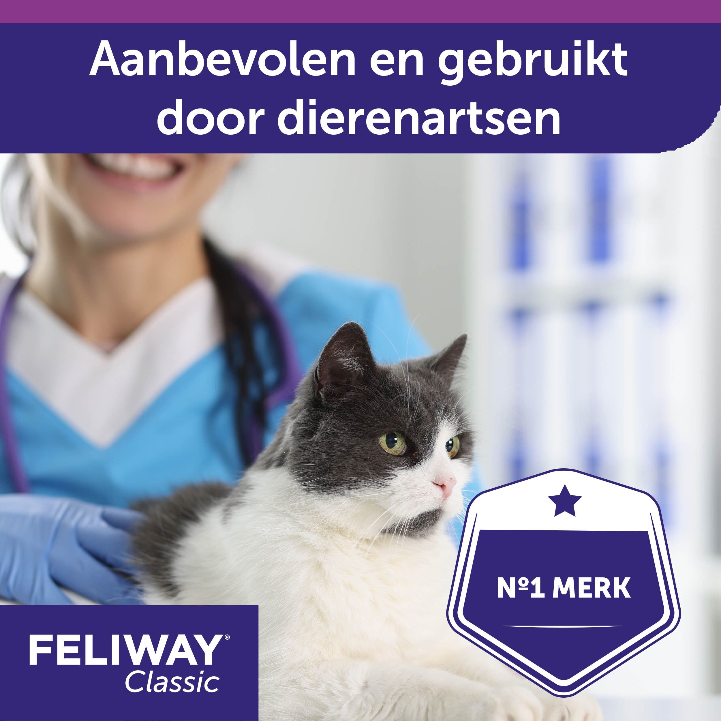 FELIWAY Classic Spray. Afgebeeld: symptomen van stress bij katten. Markeren, krabben, angst.