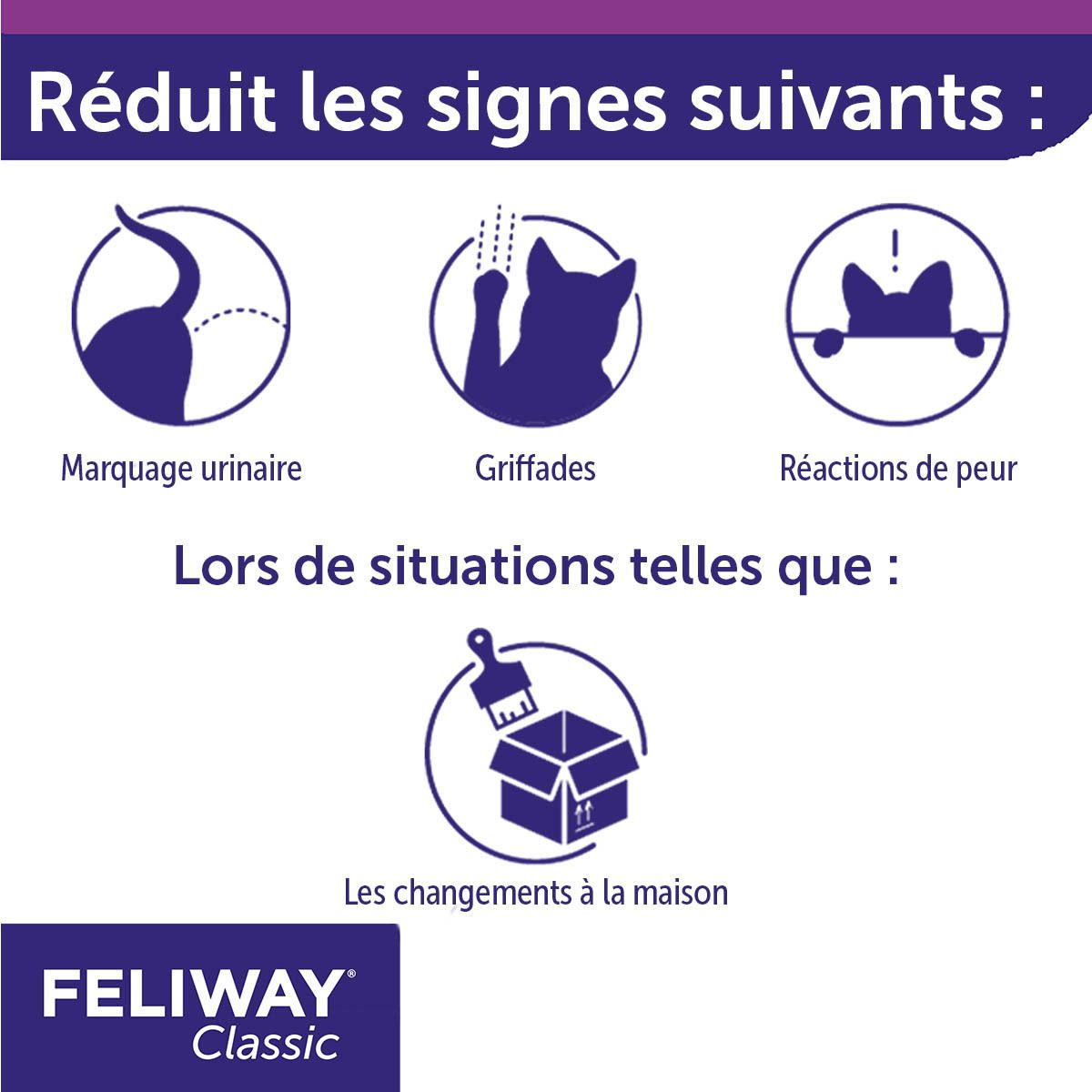 Feliway Classic Spray. Illustrations de symptômes et de situations. Avec texte.