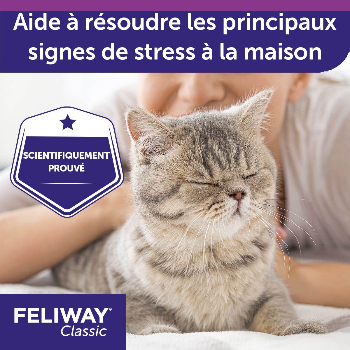 Feliway Classic Spray. Illustration d'un chat et texte. Scientifiquement prouvé.