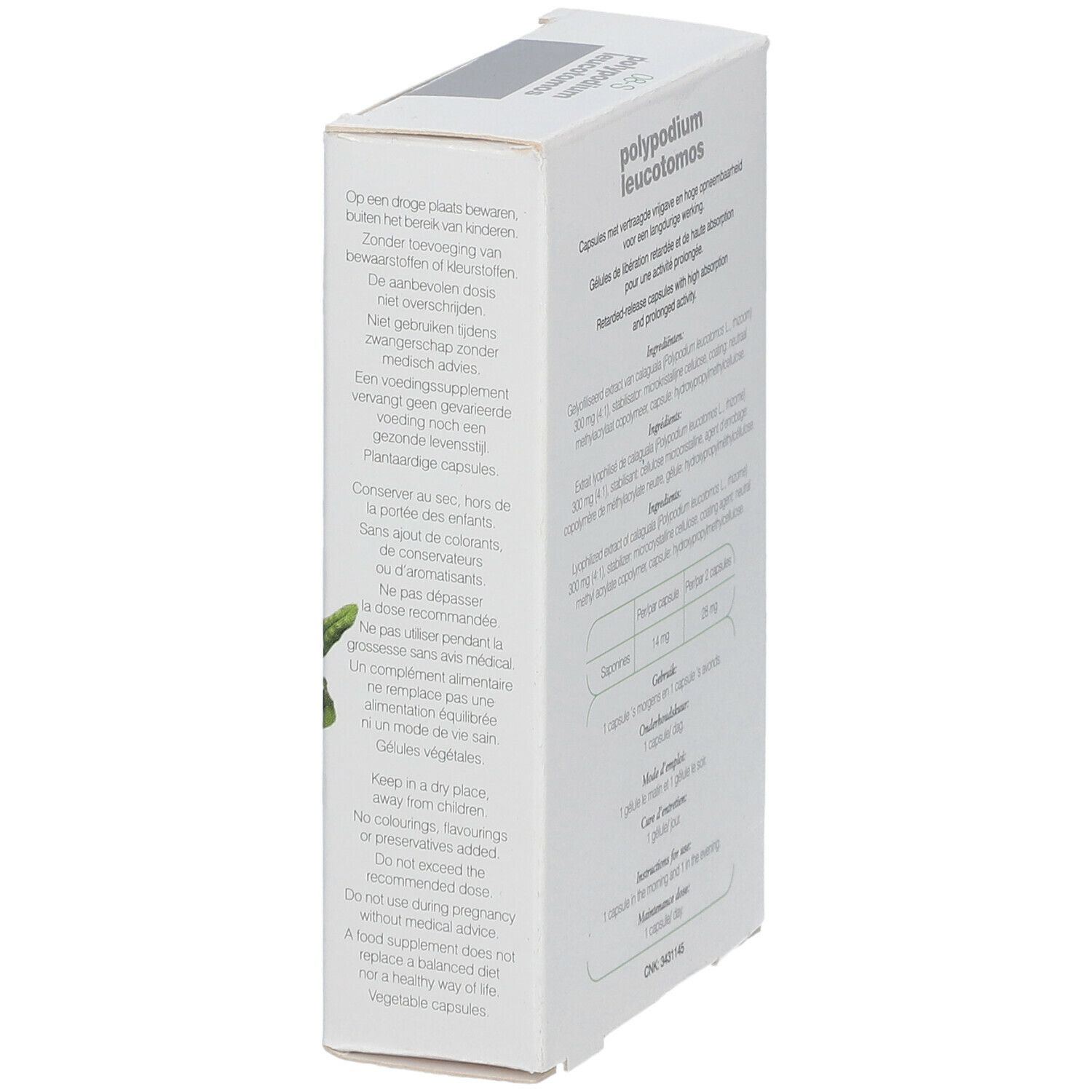 Boîte blanche avec texte. Avertissements et mode d'emploi. Texte: polypodium leucotomos. Avec feuilles vertes.