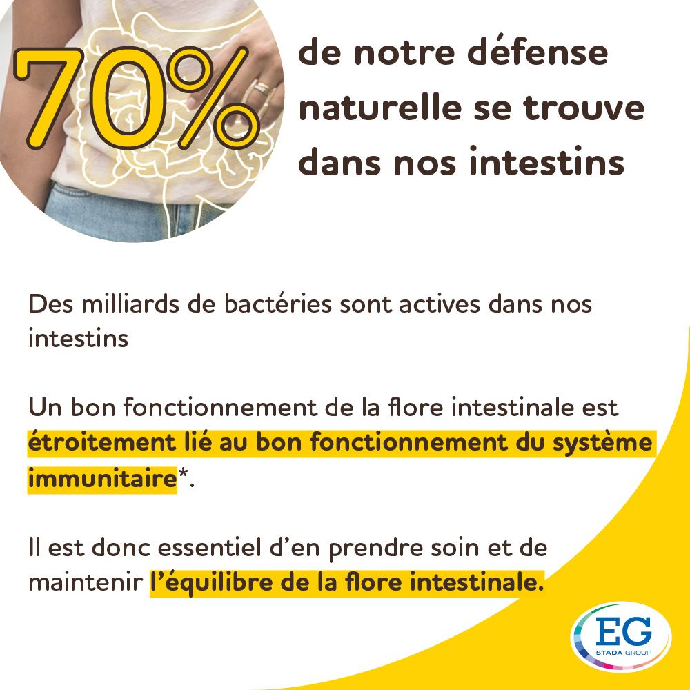 70% de notre défense naturelle se trouve dans nos intestins. Texte sur la flore intestinale et le système immunitaire.