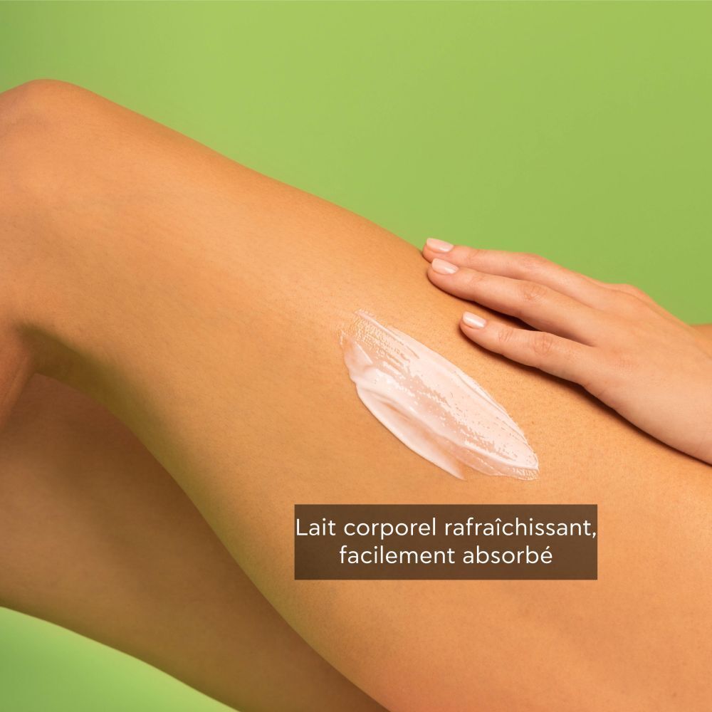 Jambe avec lait corporel appliqué. Texte : Lait corporel rafraîchissant, facilement absorbé.