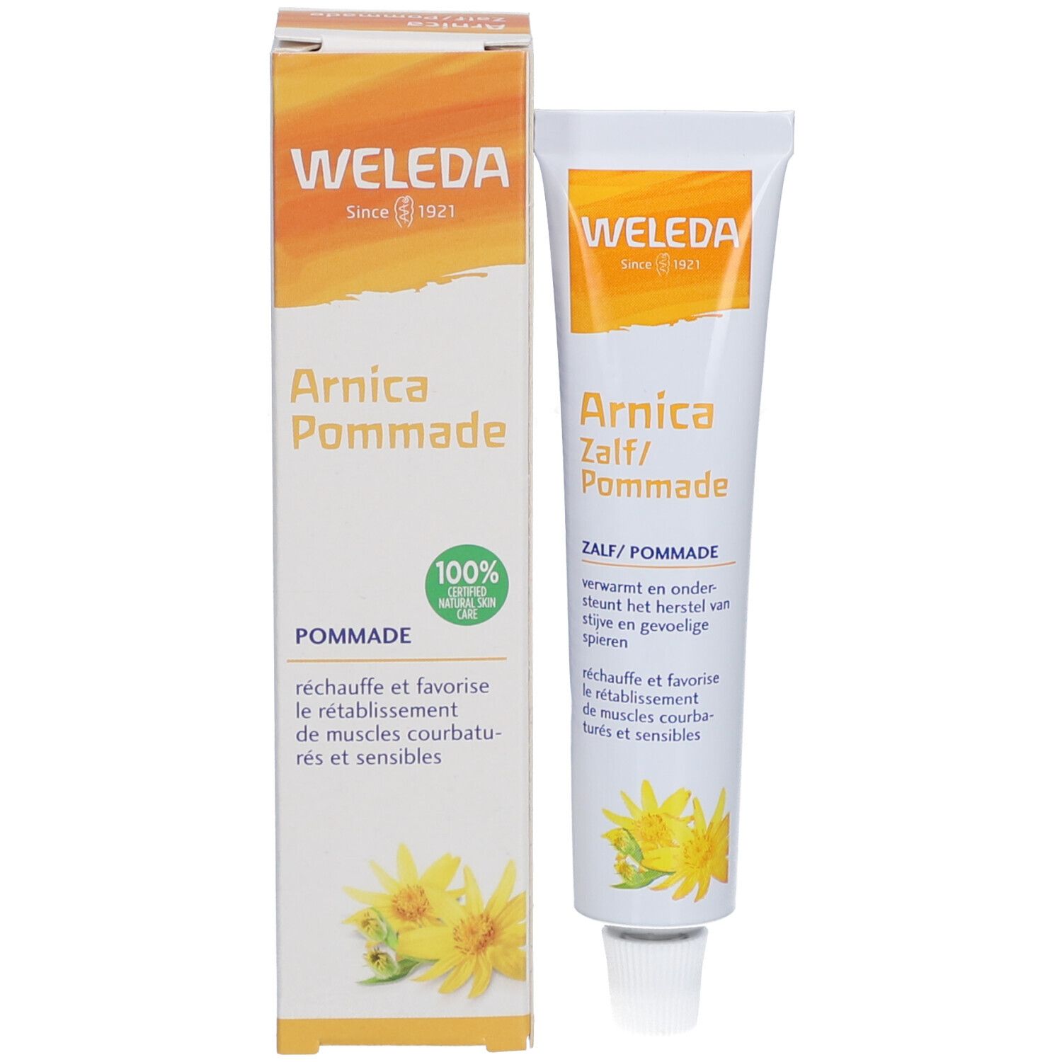 Weleda Arnica Pommade tube en doos. Doos met logo, productnaam en 100% Natural zegel. Tube ernaast.