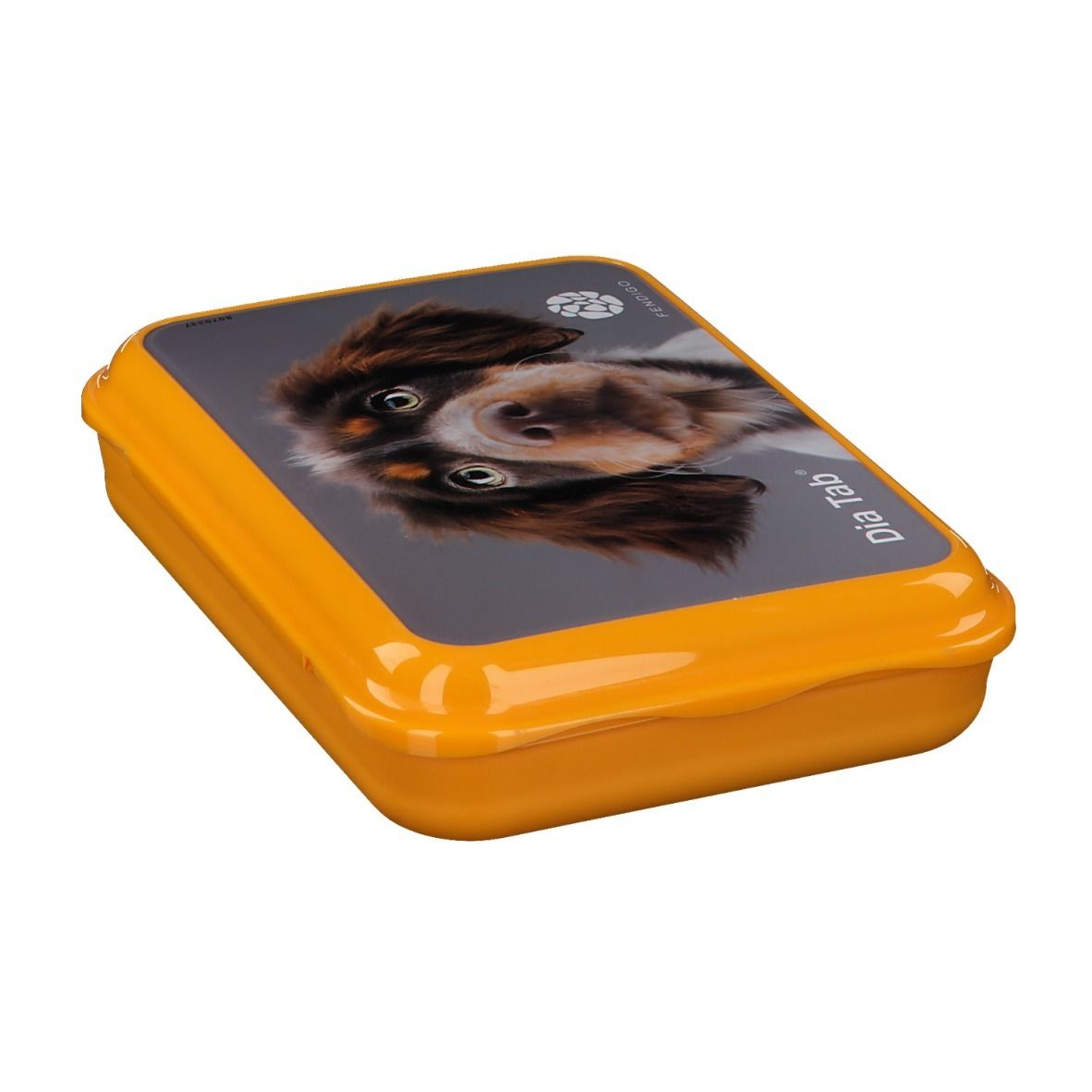 Boîte de comprimés jaune avec image de chien. Inscription: Dia Tab et FENDIGO. Vue en biais.