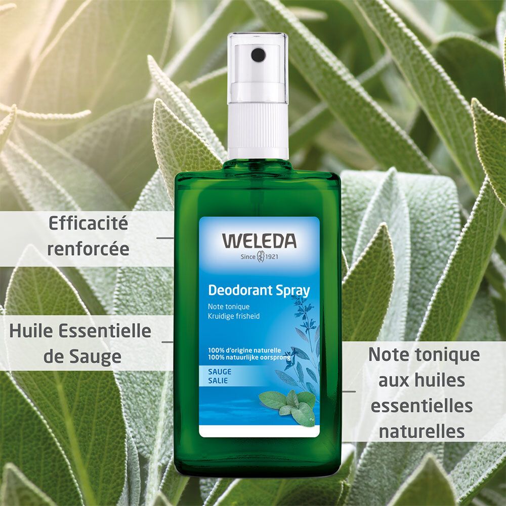 Flacon spray vert avec tête blanche. Inscription : Weleda Déodorant Spray, Sauge. Fond : feuilles de sauge.