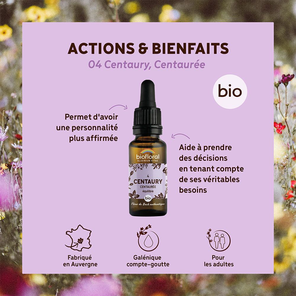 Fond violet avec flacon et texte. Informations sur les actions et les bienfaits de Centaury.