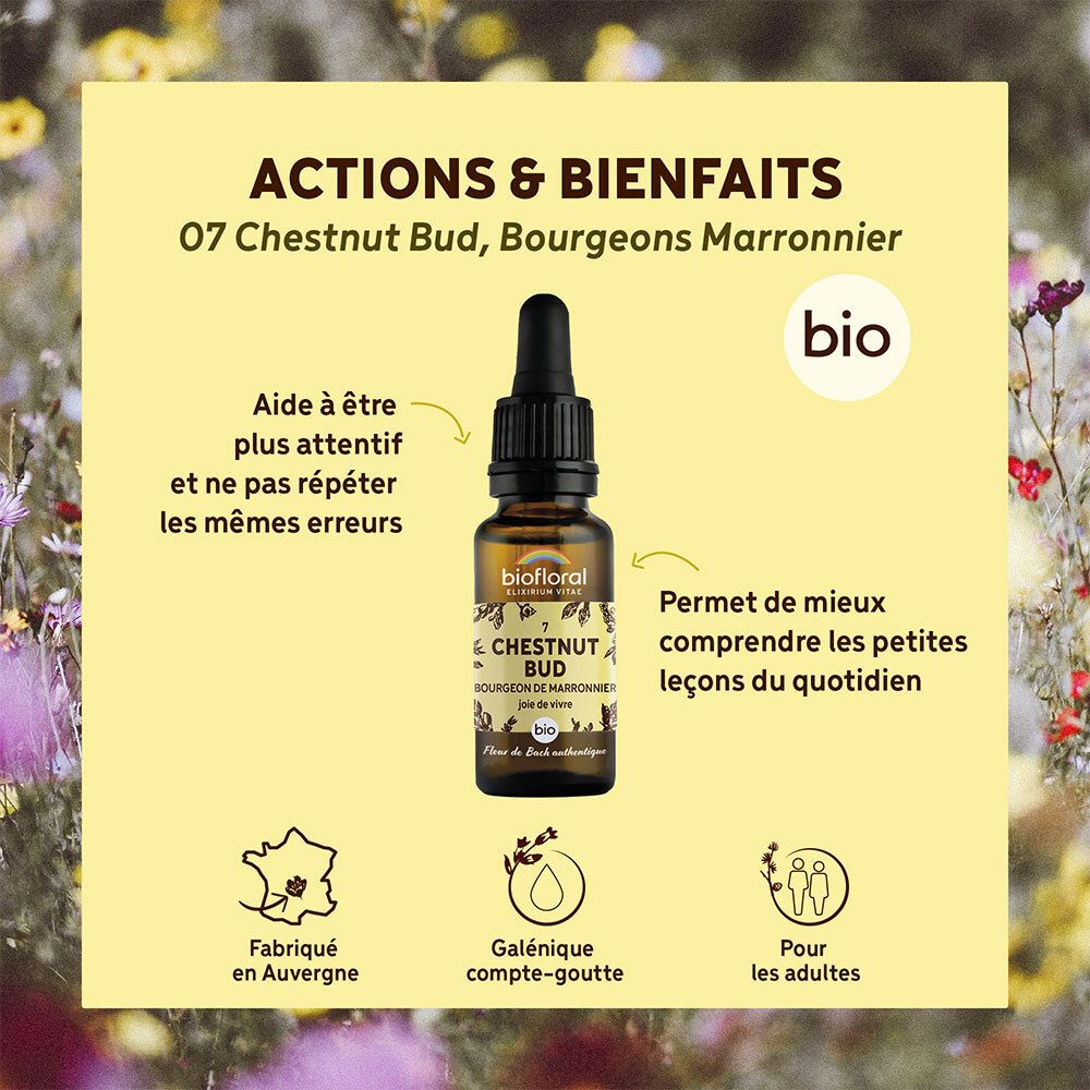 Gele achtergrond met fles. Tekst: Actions & Bienfaits, 07 Chestnut Bud, Bio. Illustraties en tekst in het Frans.