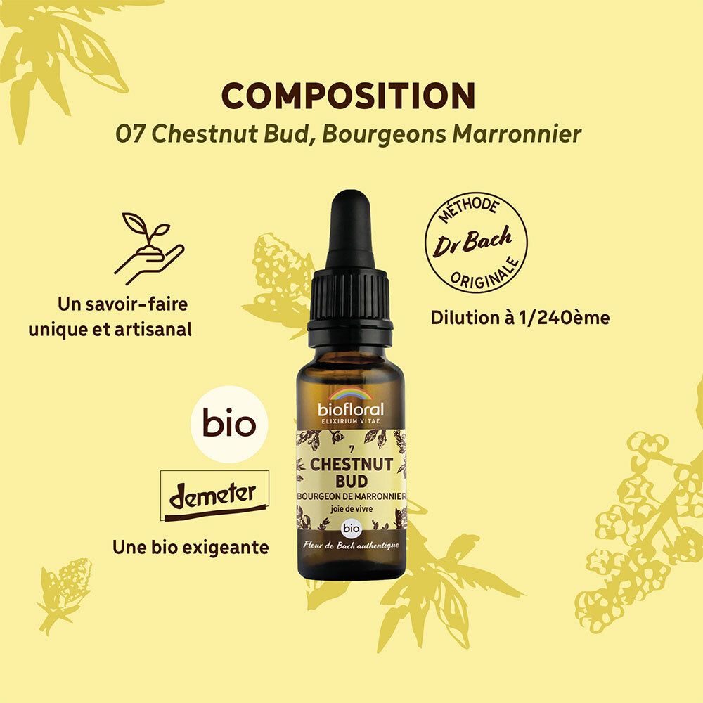 Gele achtergrond met fles. Tekst: Composition, 07 Chestnut Bud, Bio, Demeter, Méthode Dr Bach originale.