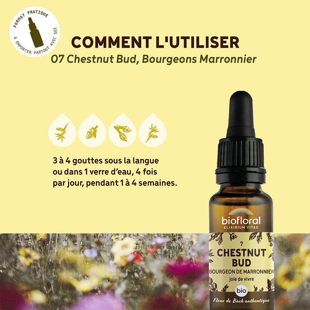 Gele achtergrond met fles. Tekst: Comment l'utiliser, 07 Chestnut Bud. 3-4 druppels onder de tong of in water.