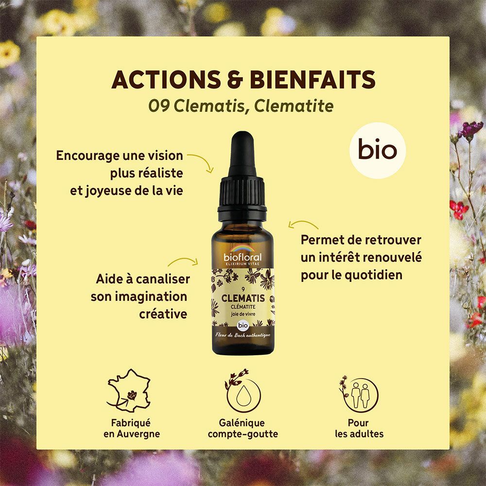 Flacon avec compte-gouttes sur fond jaune avec texte. Texte : Actions & Bienfaits, label bio et autres informations.