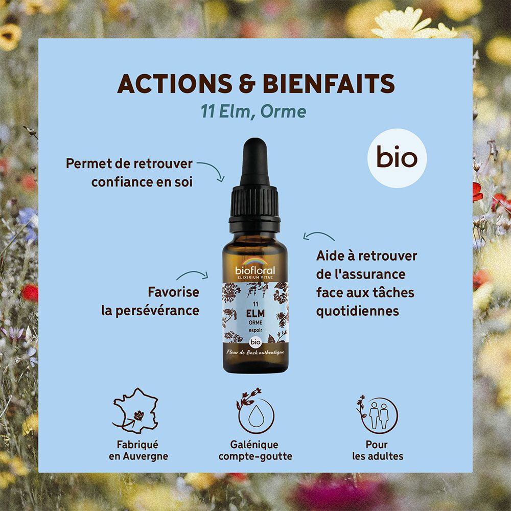 Produit avec texte et illustrations sur fond bleu. Texte: Actions & Bienfaits, Elm, Orme, bio. Illustrations.