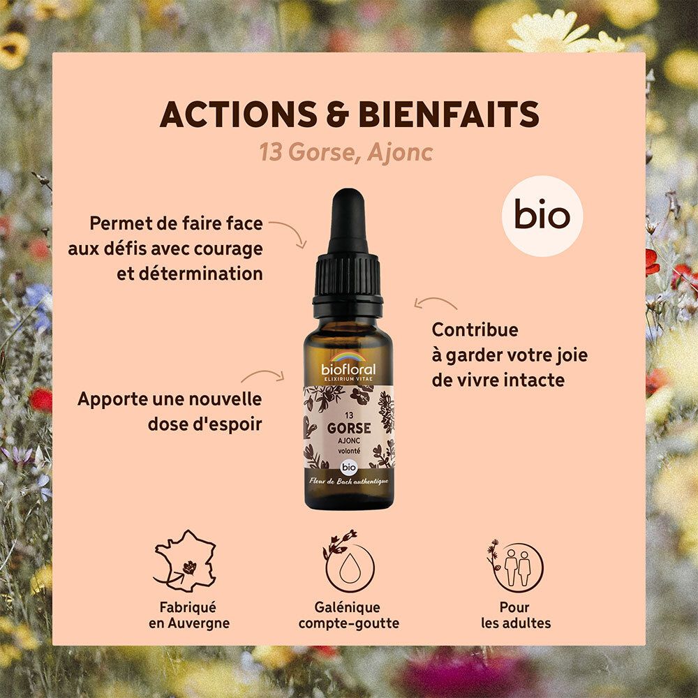 Fles met druppelaar omringd door bloemelementen. Tekst: Actions & Bienfaits, 13 Gorse, Ajonc, bio.