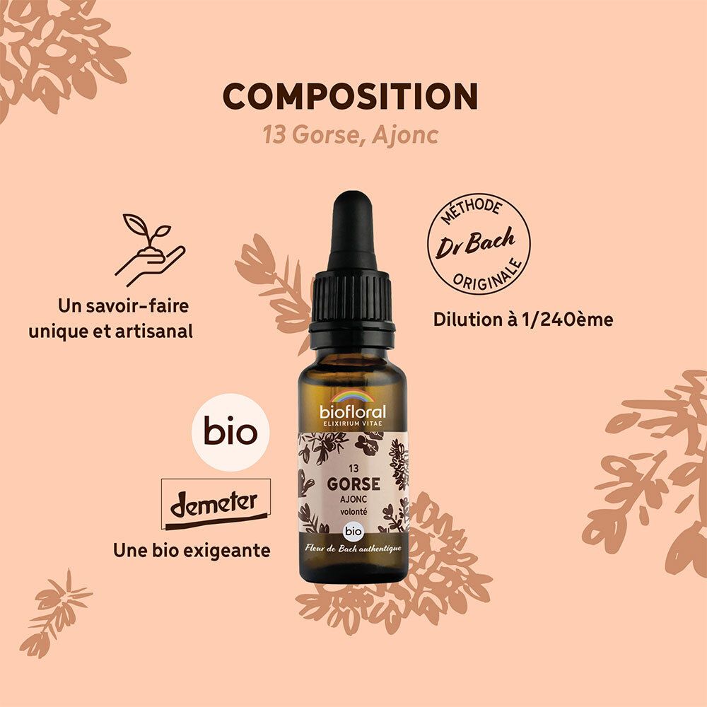 Fles met druppelaar. Tekst: Composition, 13 Gorse, Ajonc, bio, Demeter, Methode Dr. Bach originale.