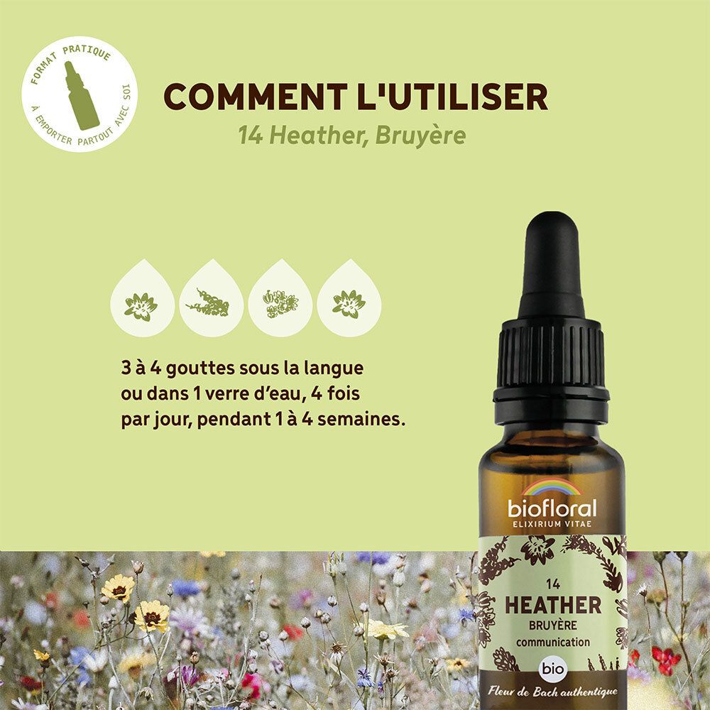 Flacon sur fond vert avec texte. Texte : "COMMENT L'UTILISER", "14 Heather, Bruyère".