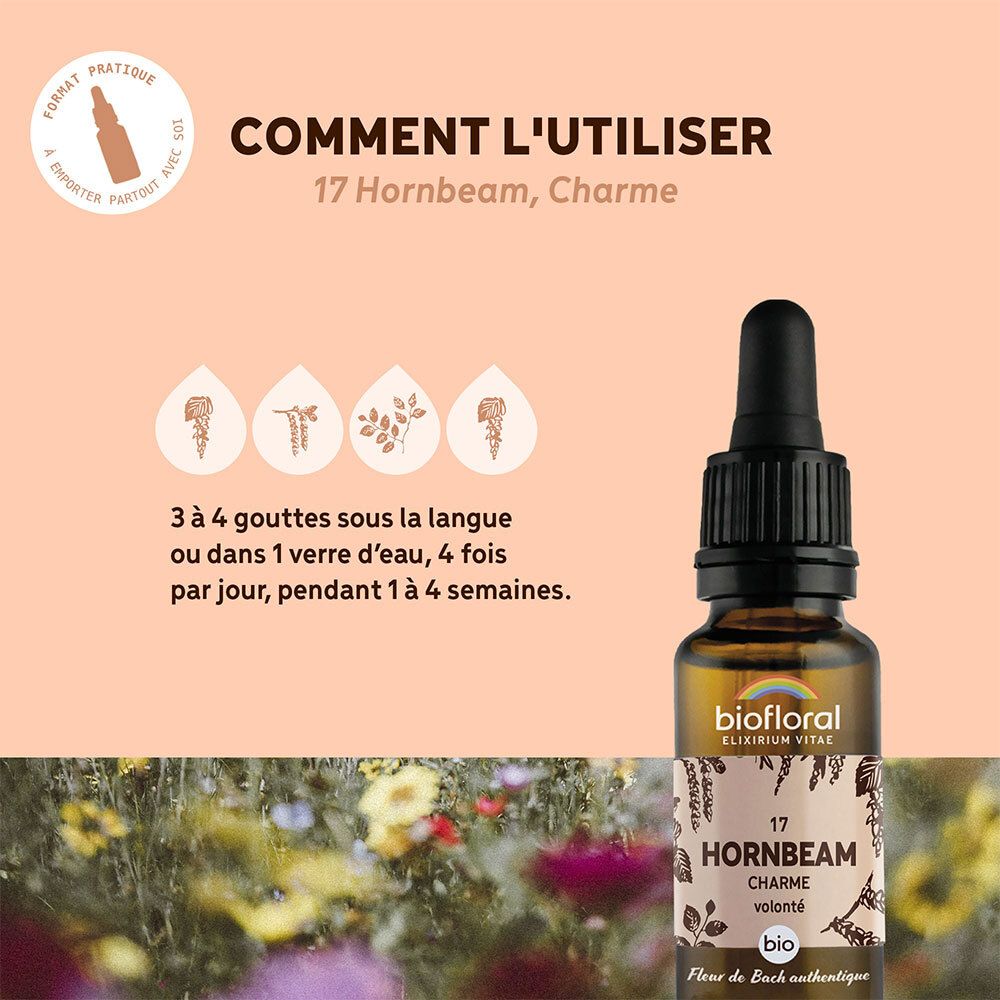 Fles met druppelaar. Tekst: 17 Hornbeam, Charme. Gebruiksaanwijzing: 3-4 druppels onder de tong.