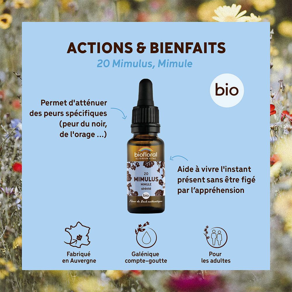 Blauwe achtergrond met productafbeelding. Tekst: Acties & Voordelen, 20 Mimulus, Mimule. Bio-label. Voor volwassenen.