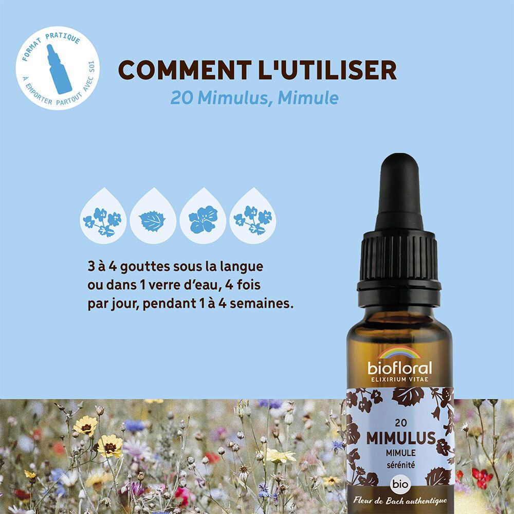Blauwe achtergrond met productafbeelding. Tekst: Hoe te gebruiken, 20 Mimulus, Mimule. 3-4 druppels onder de tong. 4 keer per dag.