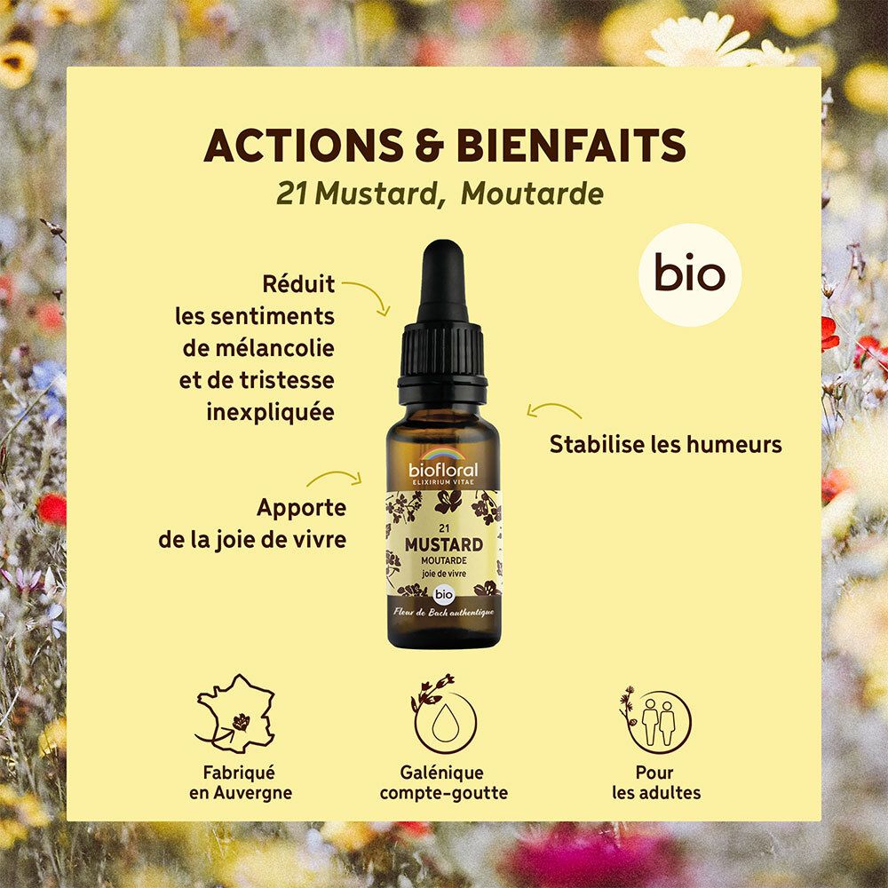 Gele achtergrond met product. Tekst: "ACTIONS & BIENFAITS", "21 Mustard, Moutarde", "BIO". Pijlen met tekst.