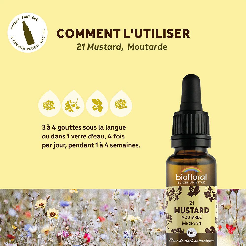 Gele achtergrond met product. Tekst: "COMMENT L'UTILISER", "21 Mustard, Moutarde". Illustratie van druppels.
