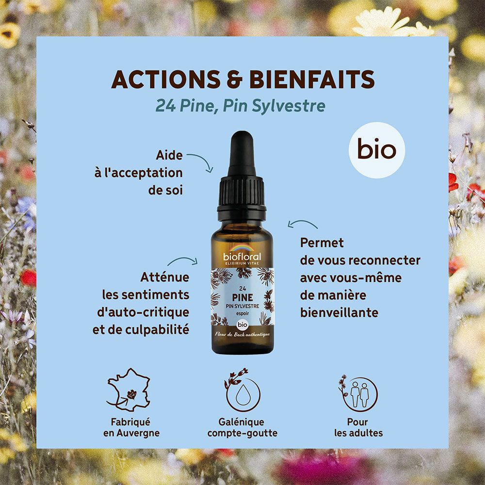 Fles met druppelaar. Tekst: 'Actions & Bienfaits'. Bio-label. Grafieken met productinformatie.