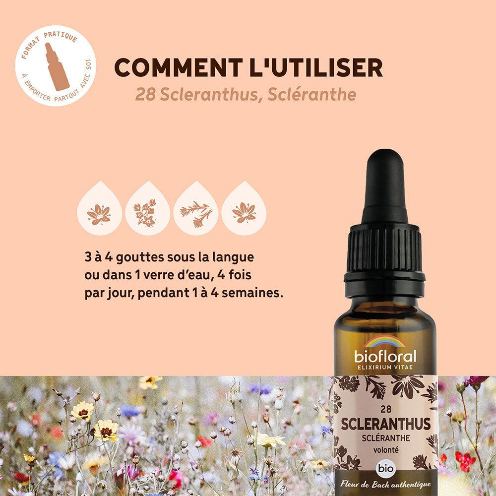 Fles met druppelaar omringd door illustraties. Tekst: Hoe te gebruiken, 3-4 druppels onder de tong, 4 keer per dag.