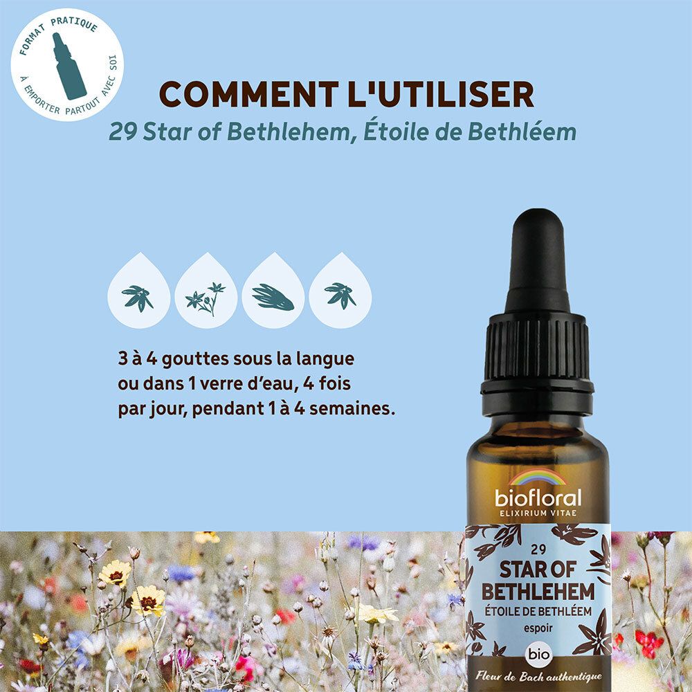 Productfles op blauwe achtergrond met tekst. Tekst: COMMENT L'UTILISER, 29 Star of Bethlehem, Etoile de Bethléem.
