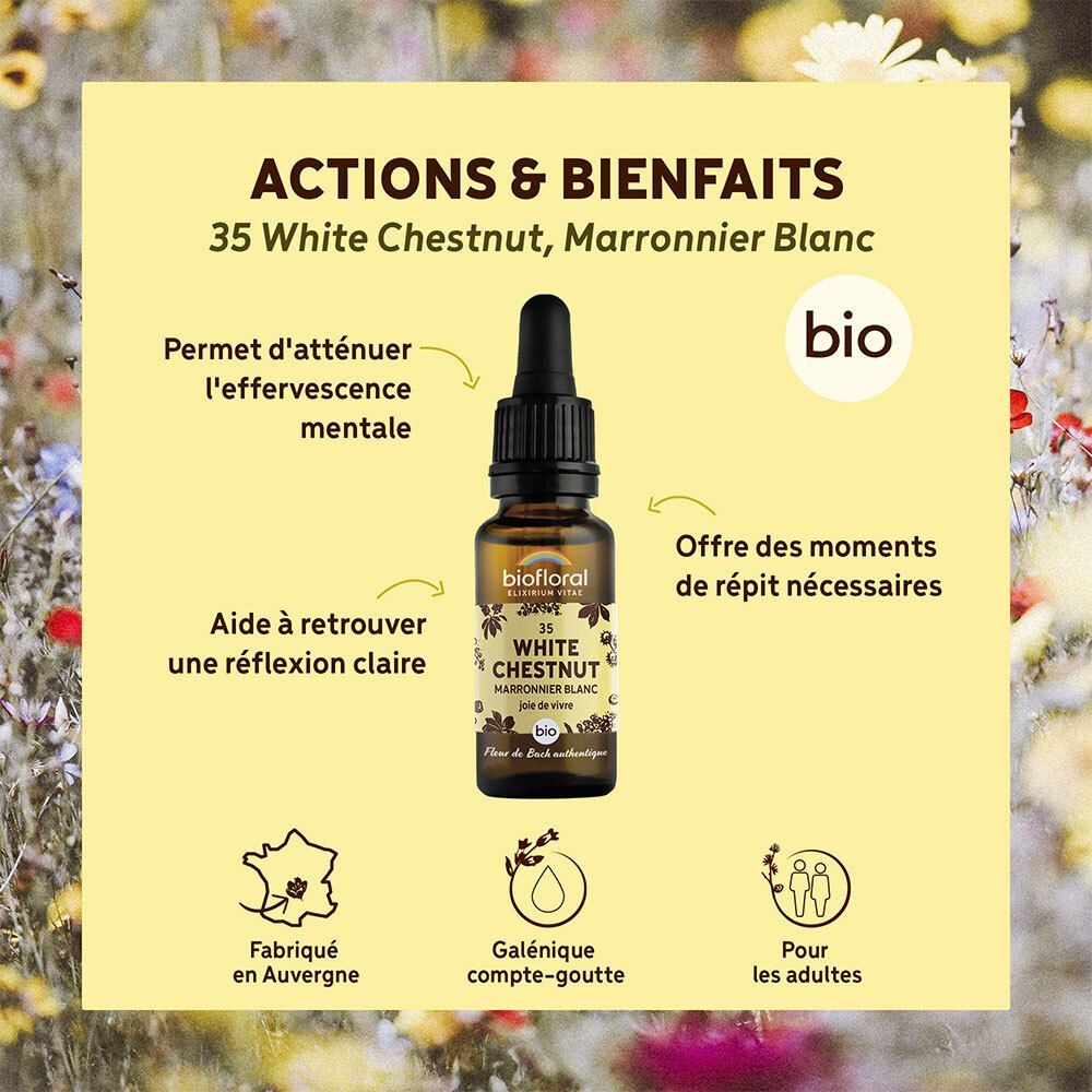 Fles met druppelaar op gele achtergrond met tekst. Tekst: 'ACTIONS & BIENFAITS', 'BIO', 'White Chestnut'.
