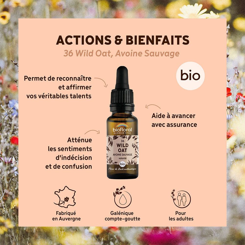 Fles met druppelaar omringd door infographics. Tekst: '36 Wild Oat, Avoine Sauvage' en 'BIO'.